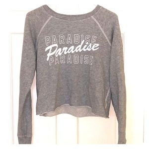 Gray cropped sweatshirt long sleeve